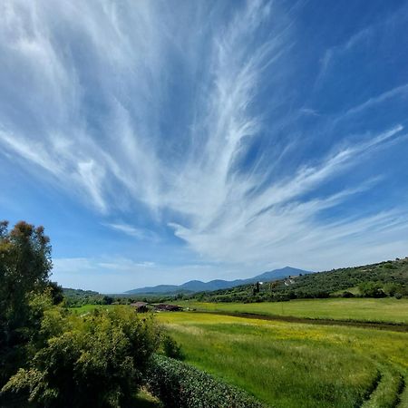 Agriturismo La Petrosa Ceraso Dış mekan fotoğraf