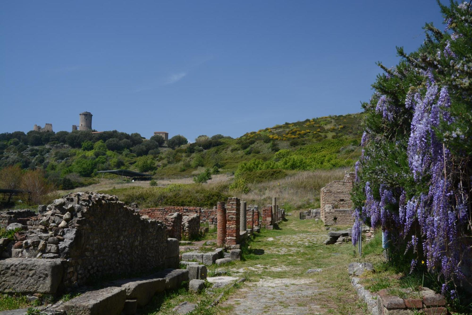 Agriturismo La Petrosa Ceraso Dış mekan fotoğraf