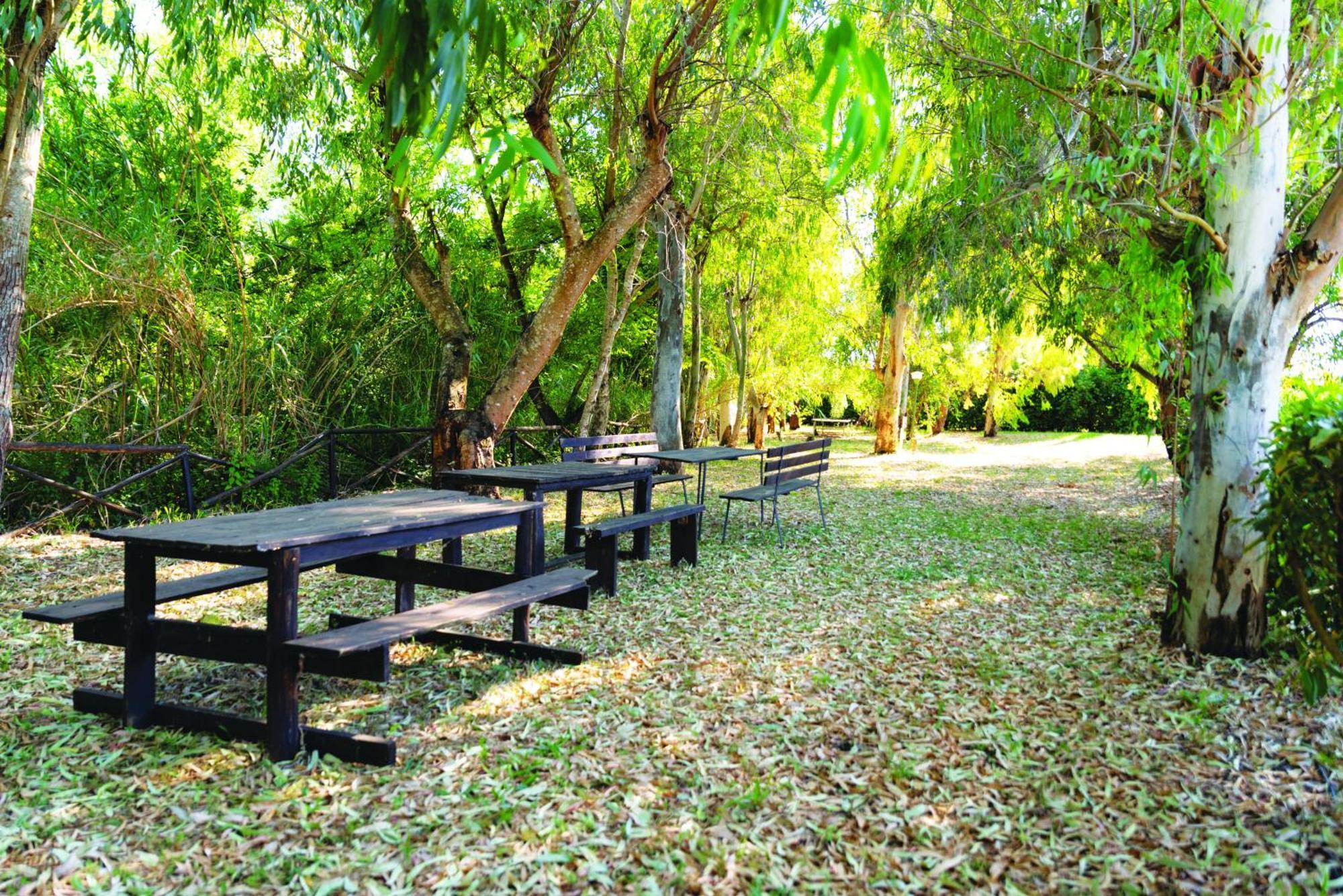Agriturismo La Petrosa Ceraso Dış mekan fotoğraf