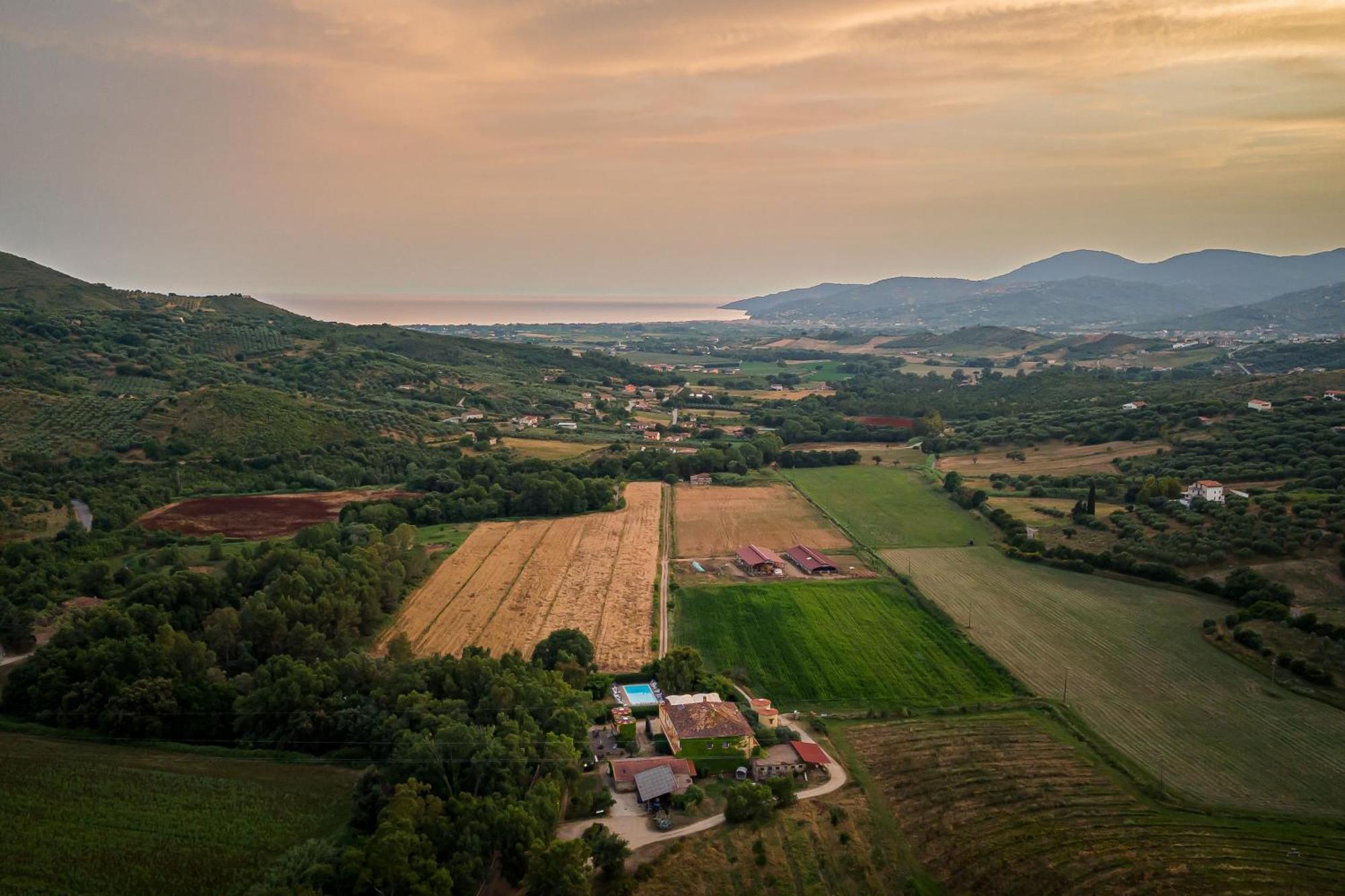 Agriturismo La Petrosa Ceraso Dış mekan fotoğraf